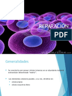 Reparacion Tisular