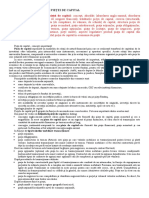 documents.tips_bazele-functionarii-pietei-de-capital.docx
