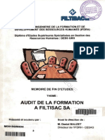 Audit Formation PDF