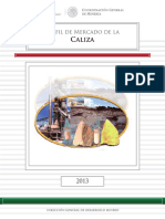 pm_caliza_1013.pdf