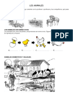 LOS ANIMALES y Su Mundo Primer Grado