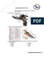 'myslide.es_aves-especialidad-desarrollada.pdf