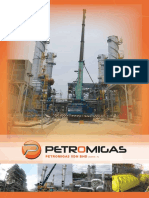Petromigas Services Overview