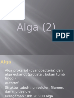 Alga