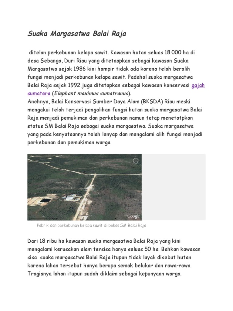 Suaka Margasatwa Balai Raja | PDF