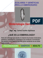 Bases Moleculares y Geneticas Del Embrion