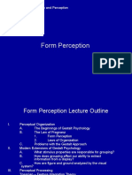 PSY 3520 – Form Perception Lecture