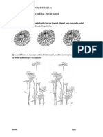 Flori de Toamnă PDF