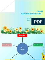 Kandungan Sirsak PPT 2