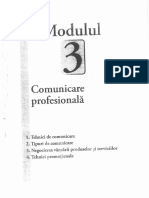 Comunicare Profesionala PDF