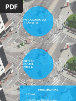 Seminário Psicologia Do Trânsito