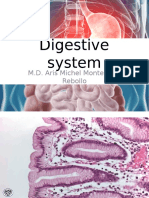 IB5 1516 C08 DigestiveSystem