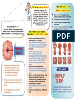 Leaflet CA Serviks