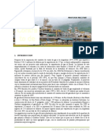Contrato de Compra y Venta de Gas Natural Al Brasil