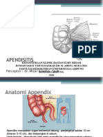 Apendisitis Materi DR - Mizar