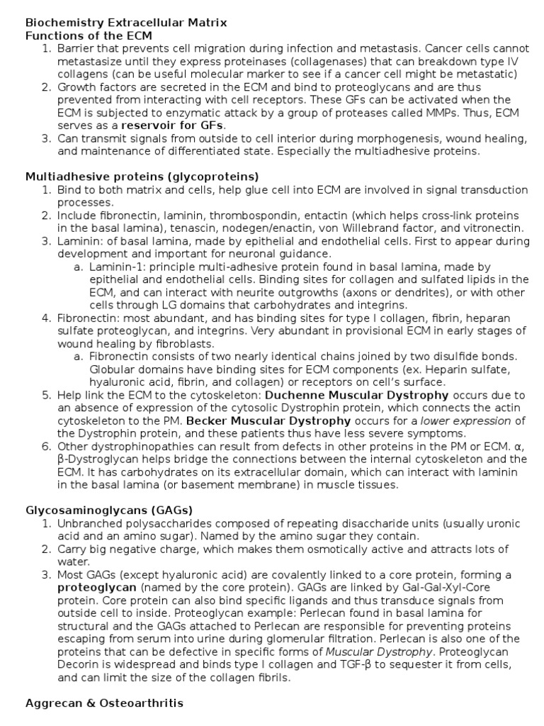 Biochemistry Extracellular Matrix PDF Actin Extracellular Matrix