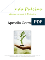 57877881-Apostila-Fernando-Pulcino-Gastronomia-Germinacao-de-Graos.pdf