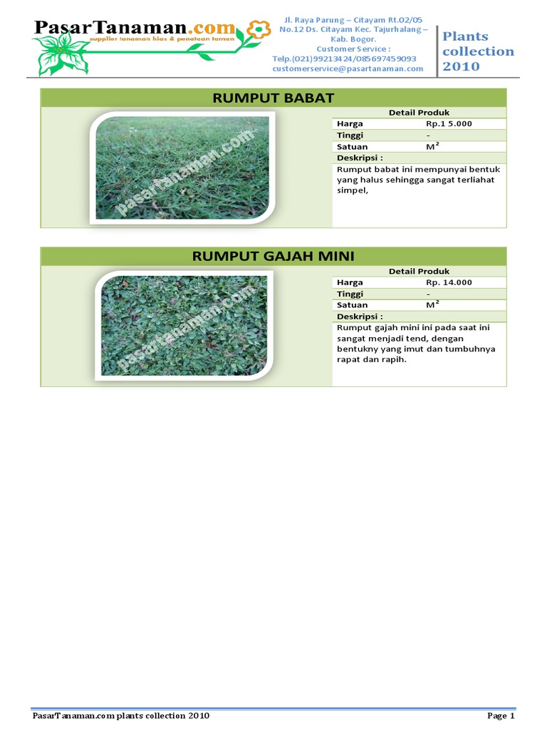 Rumput PDF | PDF