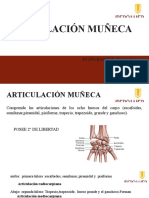 Articulación Muñeca