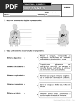 Ficha de Avaliação Trimestral - 2º Período - 3º Ano EM_I