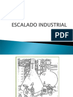 172604329-Escalado-Industrial-2013-09-26.pdf