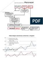 Schema Maioneza