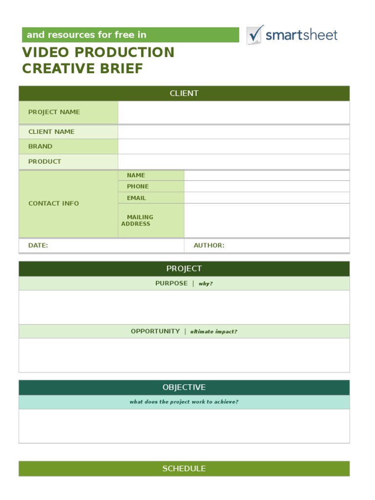 Video Production Creative Brief Template | PDF | Art
