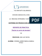 Reporte de Practica