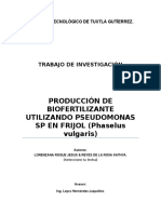 Protocolo de Investigaion de La Produccion de Pseudomonas 1 (1)
