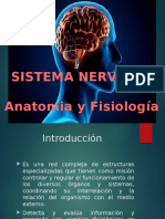 Fisiologia SNC