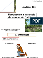 plantio