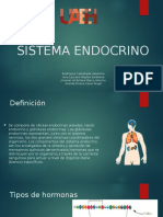 Sistema Endocrino