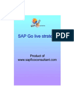 SAP_Go_live_strategy11248141773.pdf