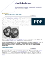 Nucleoide Bacteriano