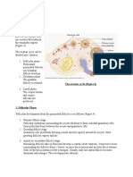 Ovarian Cycle, fertilisation implantation etc..doc