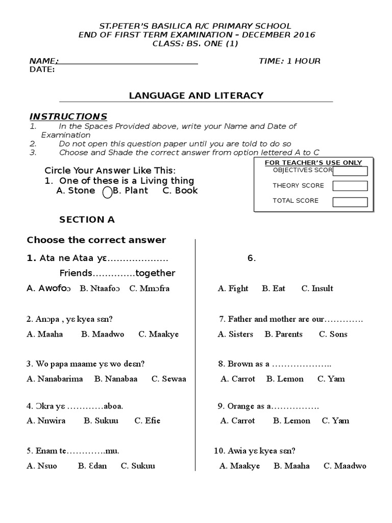 Language and Literacy: Instructions | PDF
