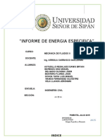 Energia Especifica