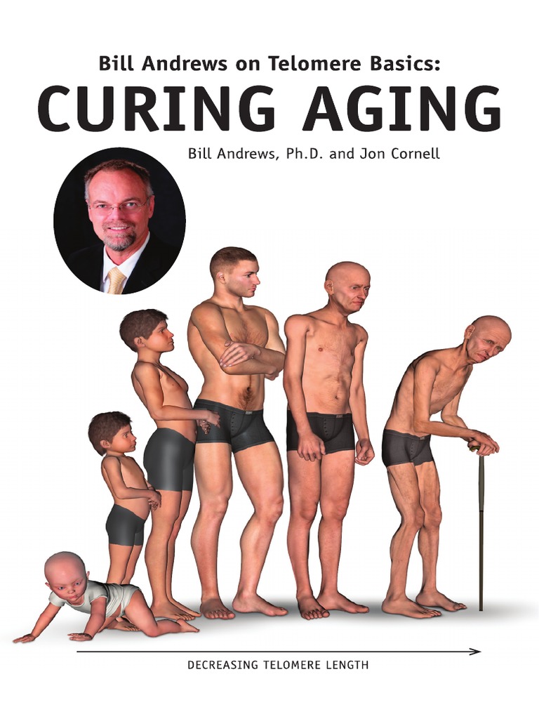 Bill Andrews On Telomere Basics Curing Aging PDF PDF