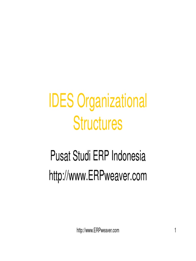 IDES Organizational Structures Overview | PDF | Business