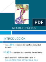 Neurohipfisis 120830080135 Phpapp01