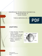 Tunica Nerviosa Del Ojo Gabriel Barzallo