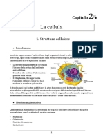 Capitolo 2 - La Cellula