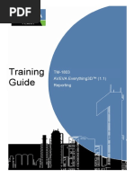 TM-1803 AVEVA Reporting Rev 1.0
