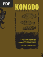 Download Reef Fish Spawning Aggregations In Komodo National Park - Status Report 2009 by Andrew Harvey SN33216754 doc pdf