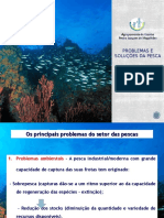 Problemas e Soluções Da Pesca