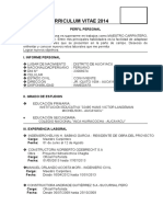 Curriculum Vitae 2014