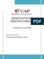 Ultima Practica Dirigida Word 2010 Alumnos