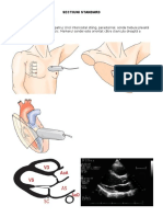 EcoCardiografia - Sectiuni Standard