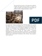 Madera, componentes y estructura del tronco