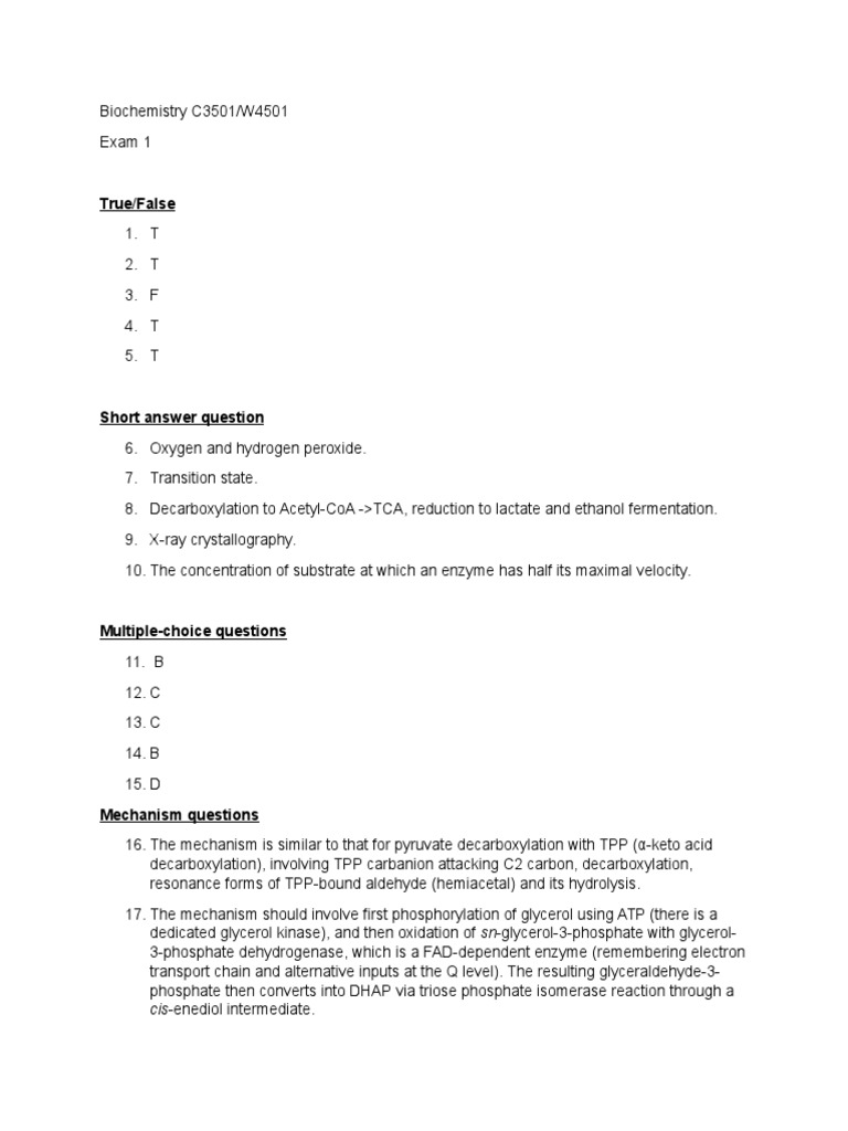 Exam+1 Answers | PDF